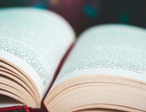 ARTICLE: MSA Worldwide Expands Its Franchising Glossary to 171 Definitions